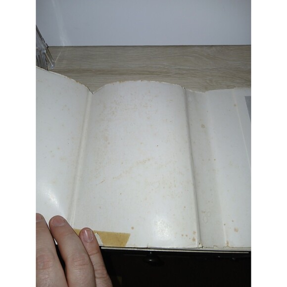 No Resting Place Hardcover Book By Ian Niall 1948 1st Edition Dust Jacket Vtg - Picture 13 of 16